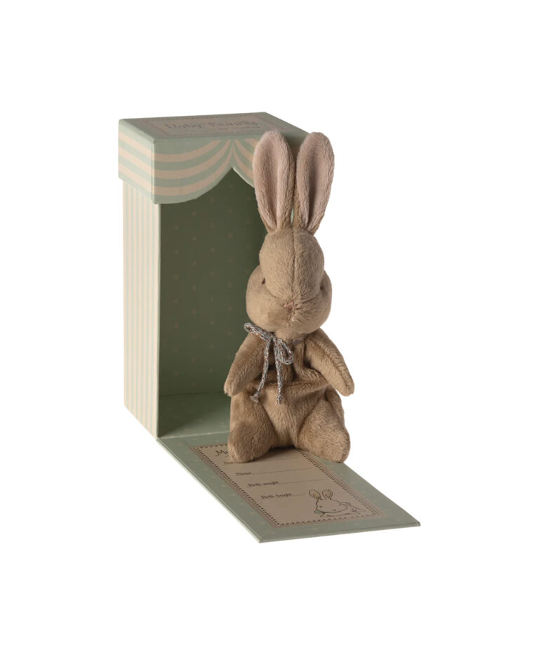lapin marron2